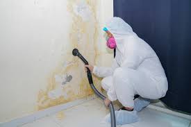 Best Real Estate Mold Inspection in Rocklin, CA